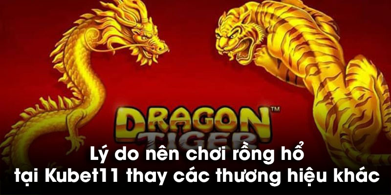 Lý do nên chơi rồng hổ tại Kubet11 thay các thương hiệu khác